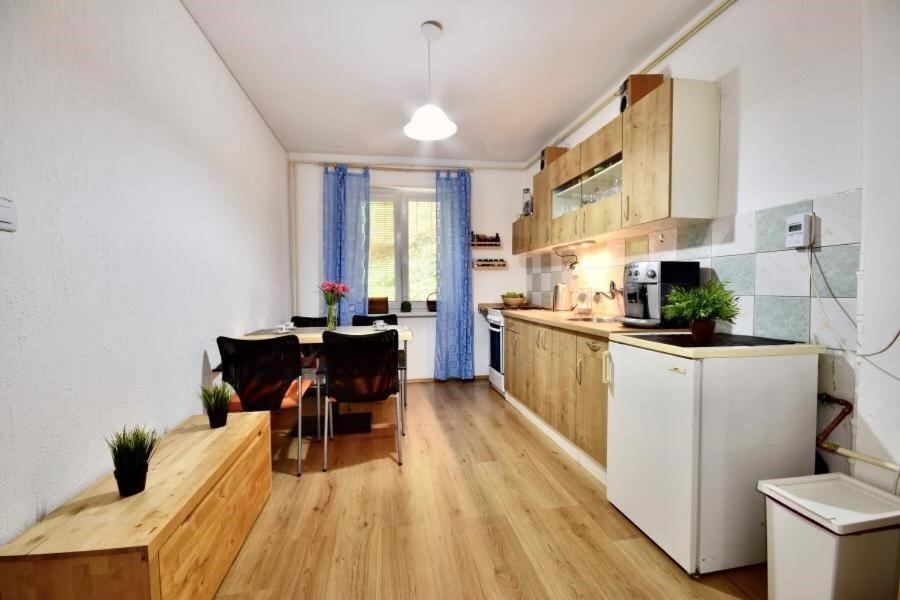 Apartament Apartman Jachymov - Klinovec Zewnętrze zdjęcie